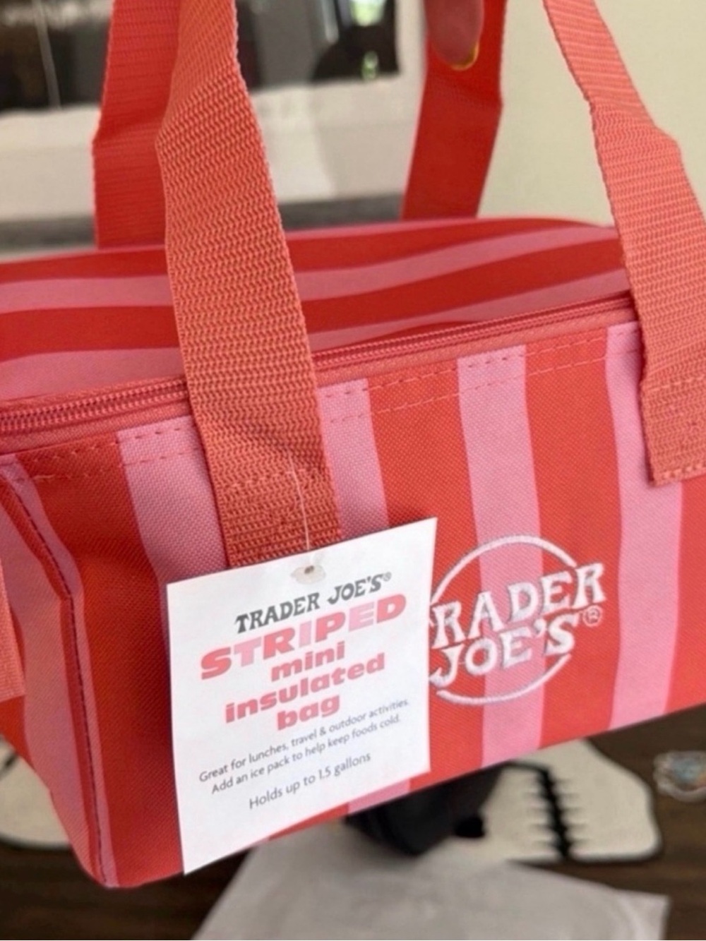 Trader Joe's Striped Mini Insulated Bag - Pink & Coral